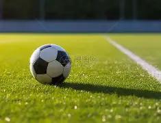 狂欢纽卡,万民众共贺,联赛杯荣光,开云体育,开云体育官网,开云体育app,开云体育app下载