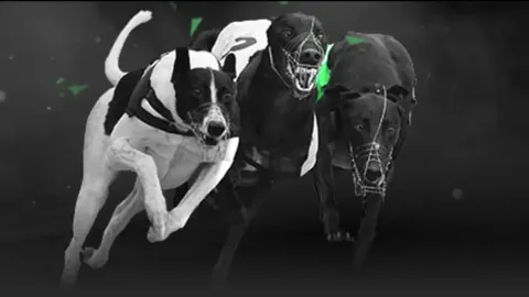 大乐透期号专家推荐：质合分析前区十码，北京内线困境求变